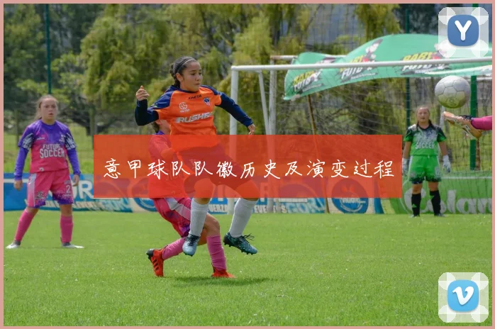 意甲球队队徽历史及演变过程